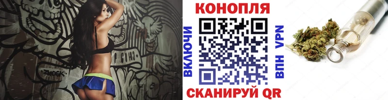 Купить где  Хотьково  Бошки Шишки ГИДРОПОН 